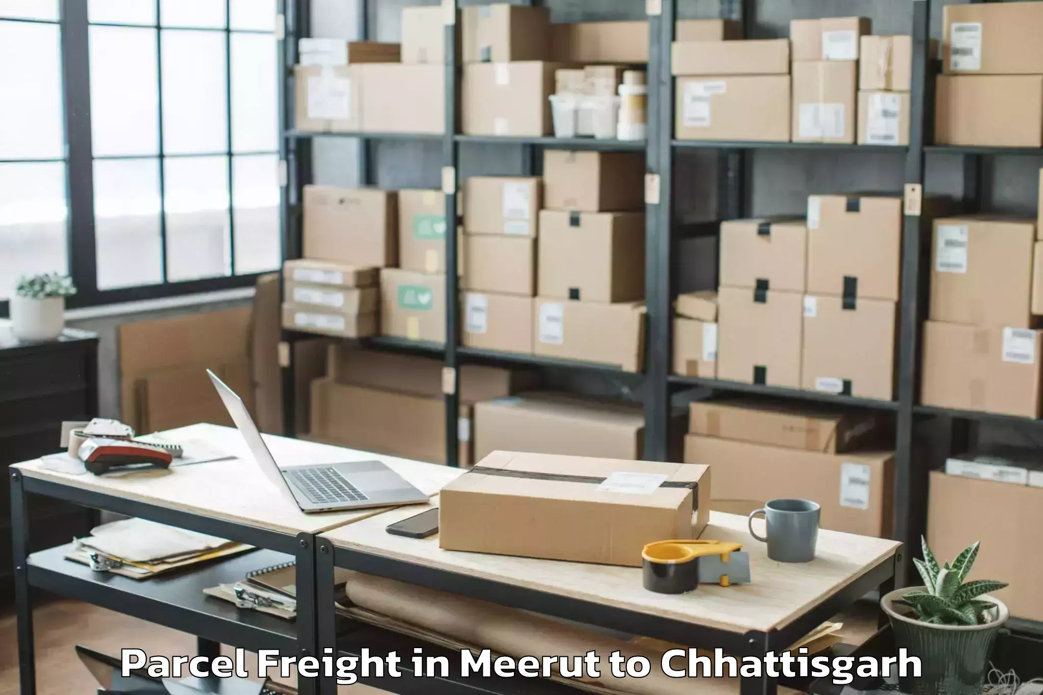 Leading Meerut to Nit Raipur Parcel Freight Provider